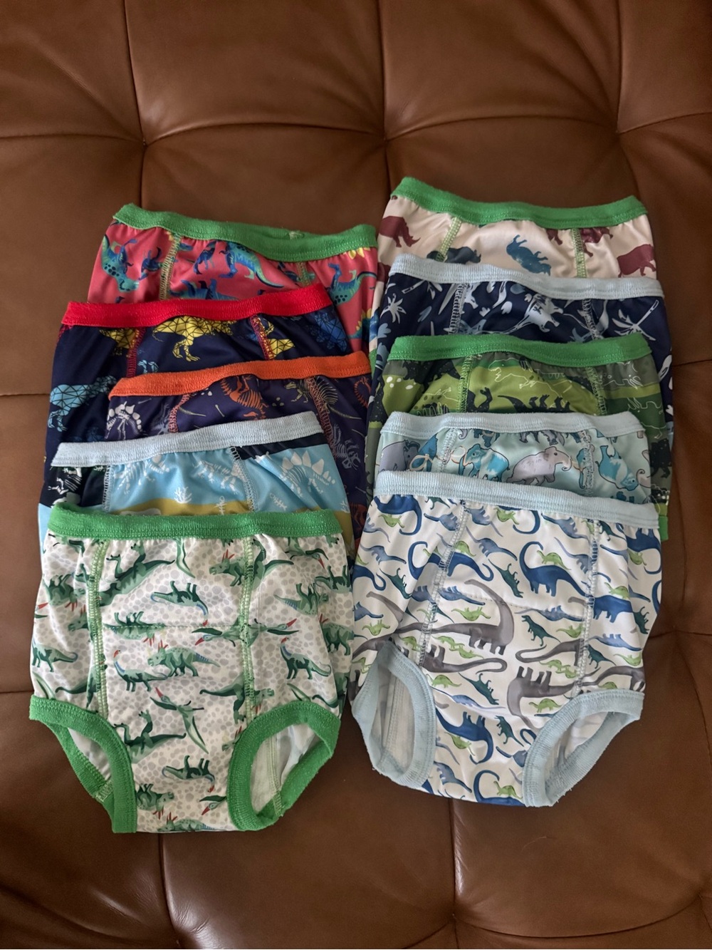 Toddler Dinosaur Potty Training Bottoms